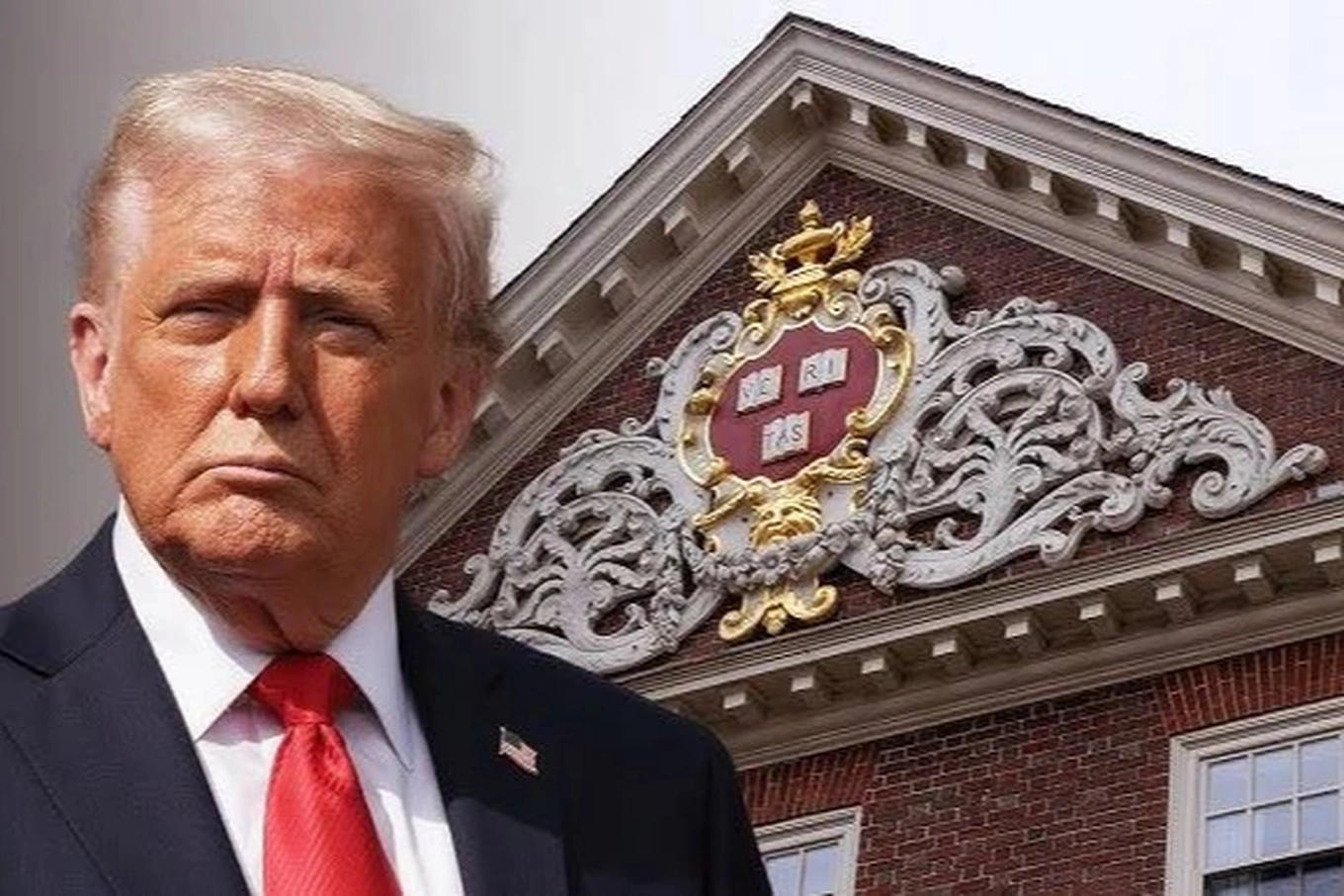 Đại học Harvard có thể bị tước quyền tuyển du học sinh, vì sao? | Du học | Nghề Giáo