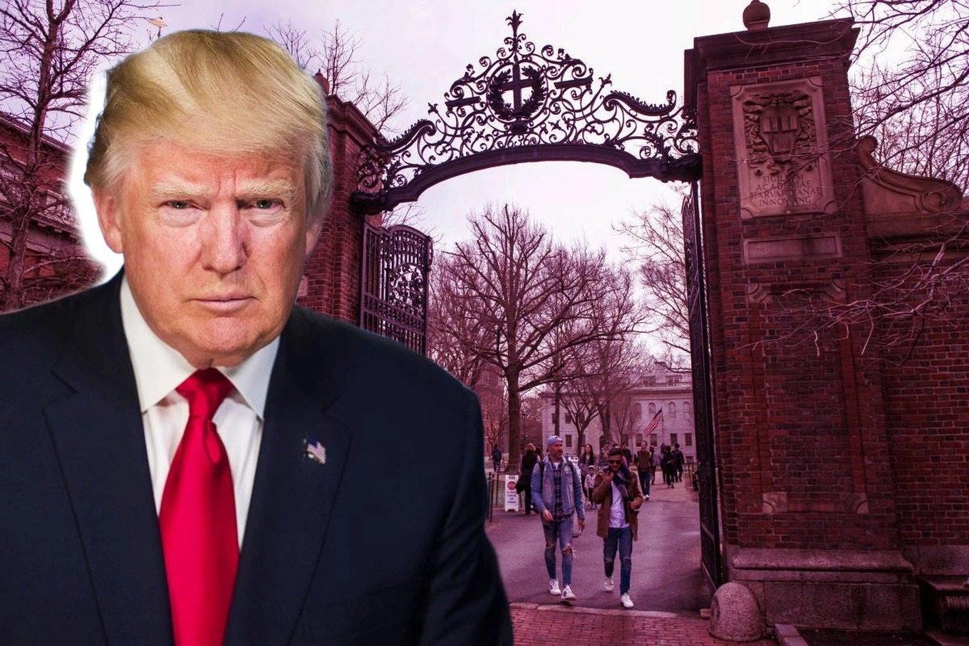 Chính phủ Mỹ cấm Đại học Harvard tuyển sinh viên quốc tế | Du học | Nghề Giáo