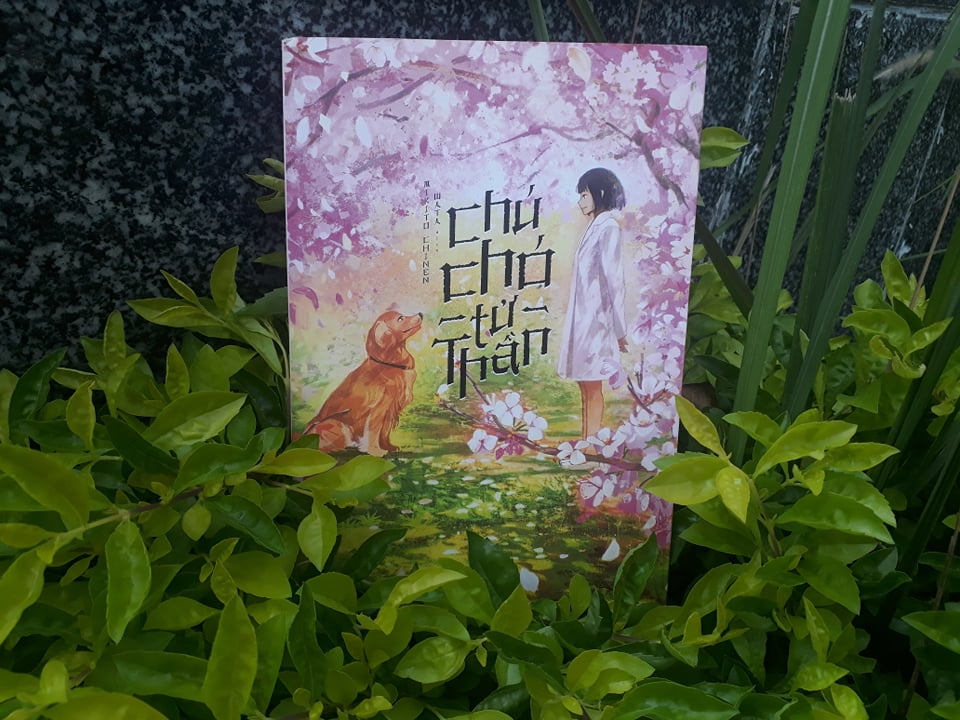 Chú chó tử thần (Mikito Chinen) – Can đảm để sống, và can đảm để đối diện với cái chết | Sách hay | Nghề Giáo