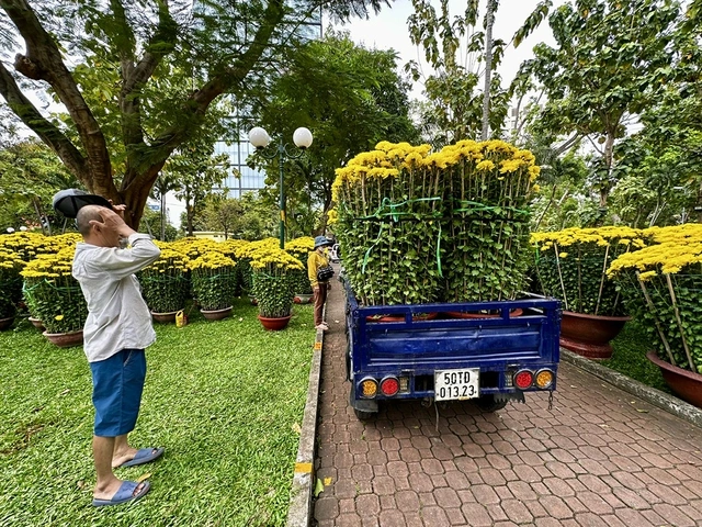 Hoa tết mọi miền khoe sắc giữa lòng TP.HCM