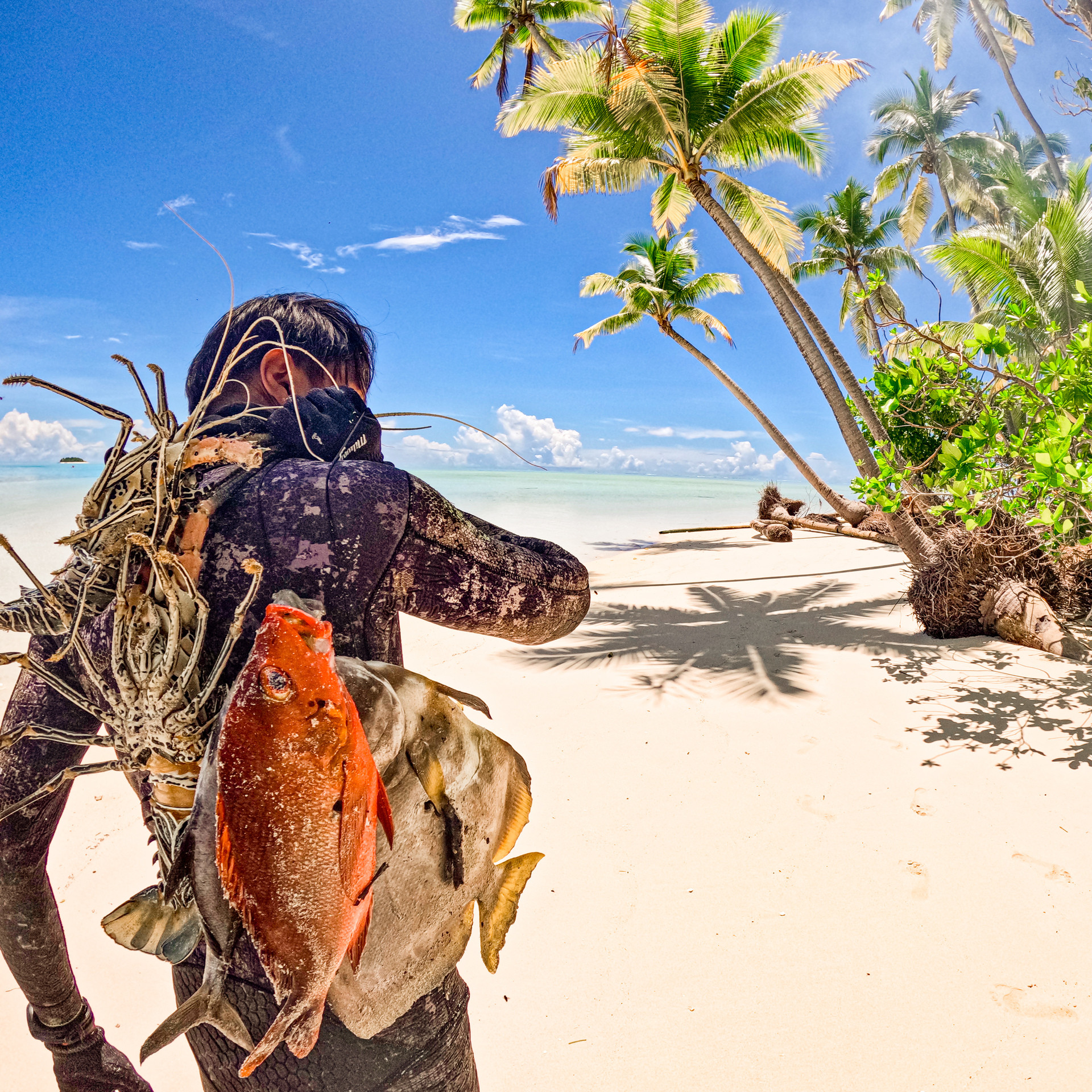 Khách Việt sống hoang dã trên đảo 'bí ẩn', mỗi ngày ăn tôm hùm, cá hiếm