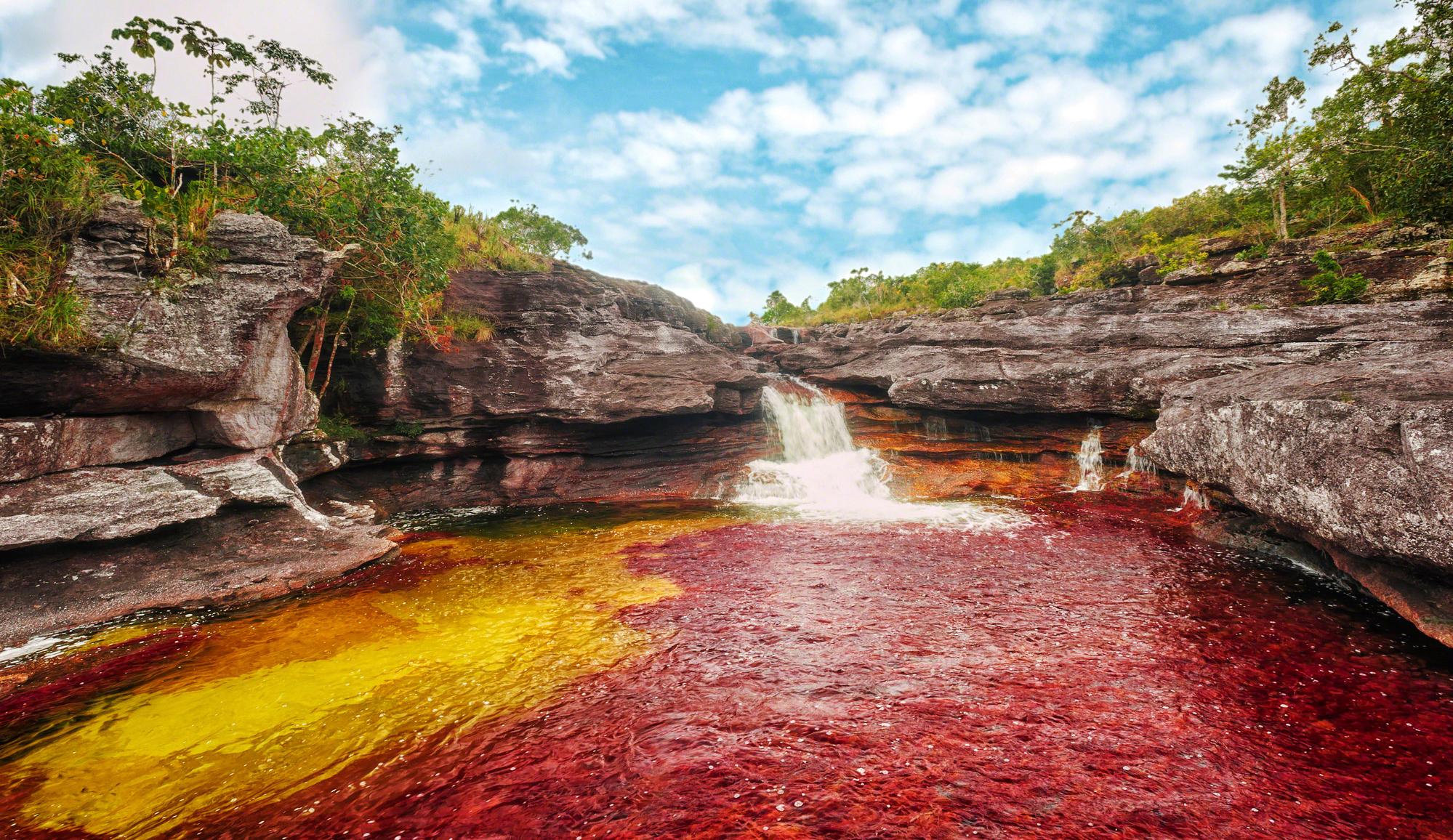 Câu chuyện bảo tồn dòng sông ngũ sắc ở Colombia