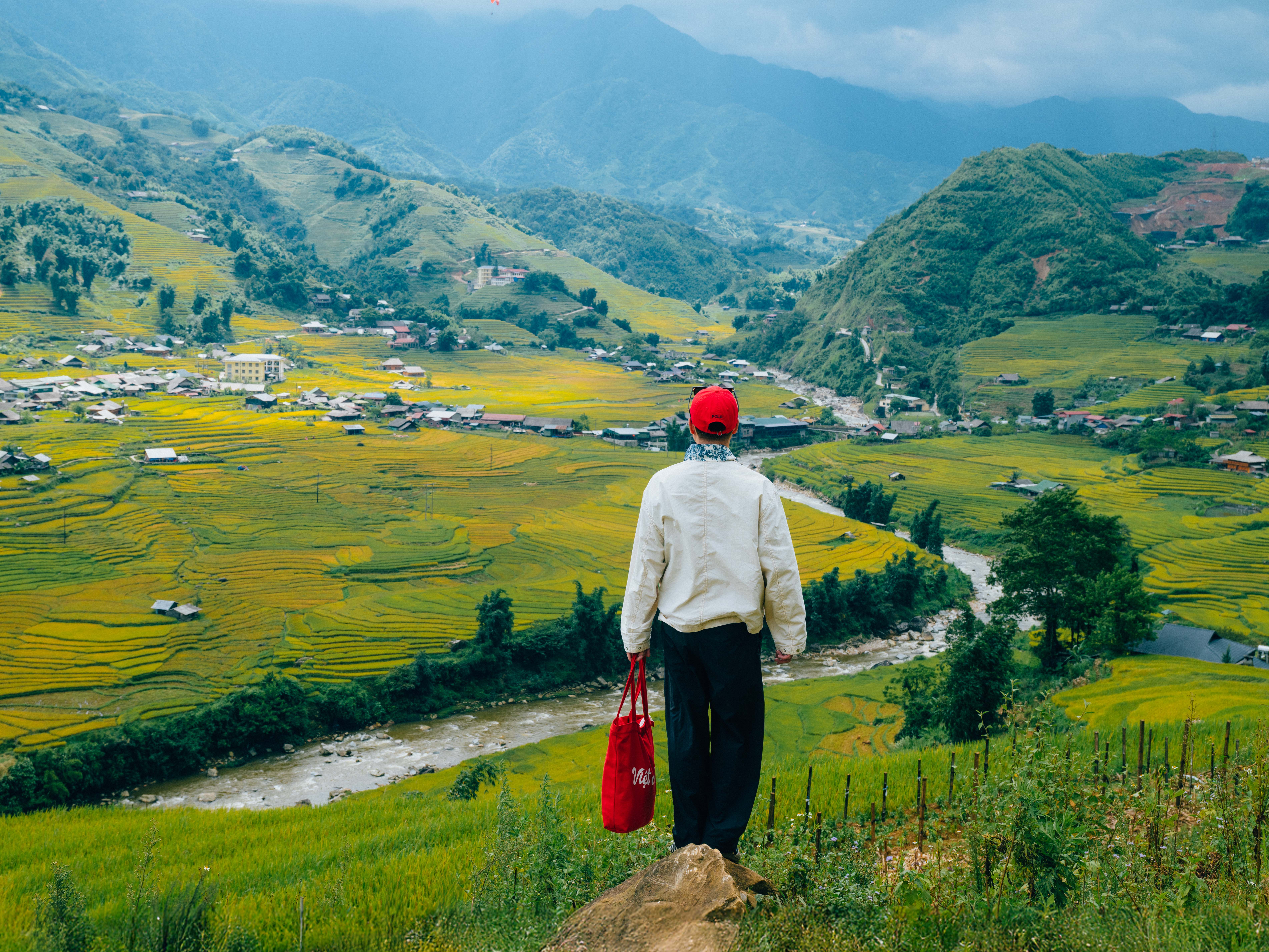 Theo dấu mùa vàng ở Lào Cai