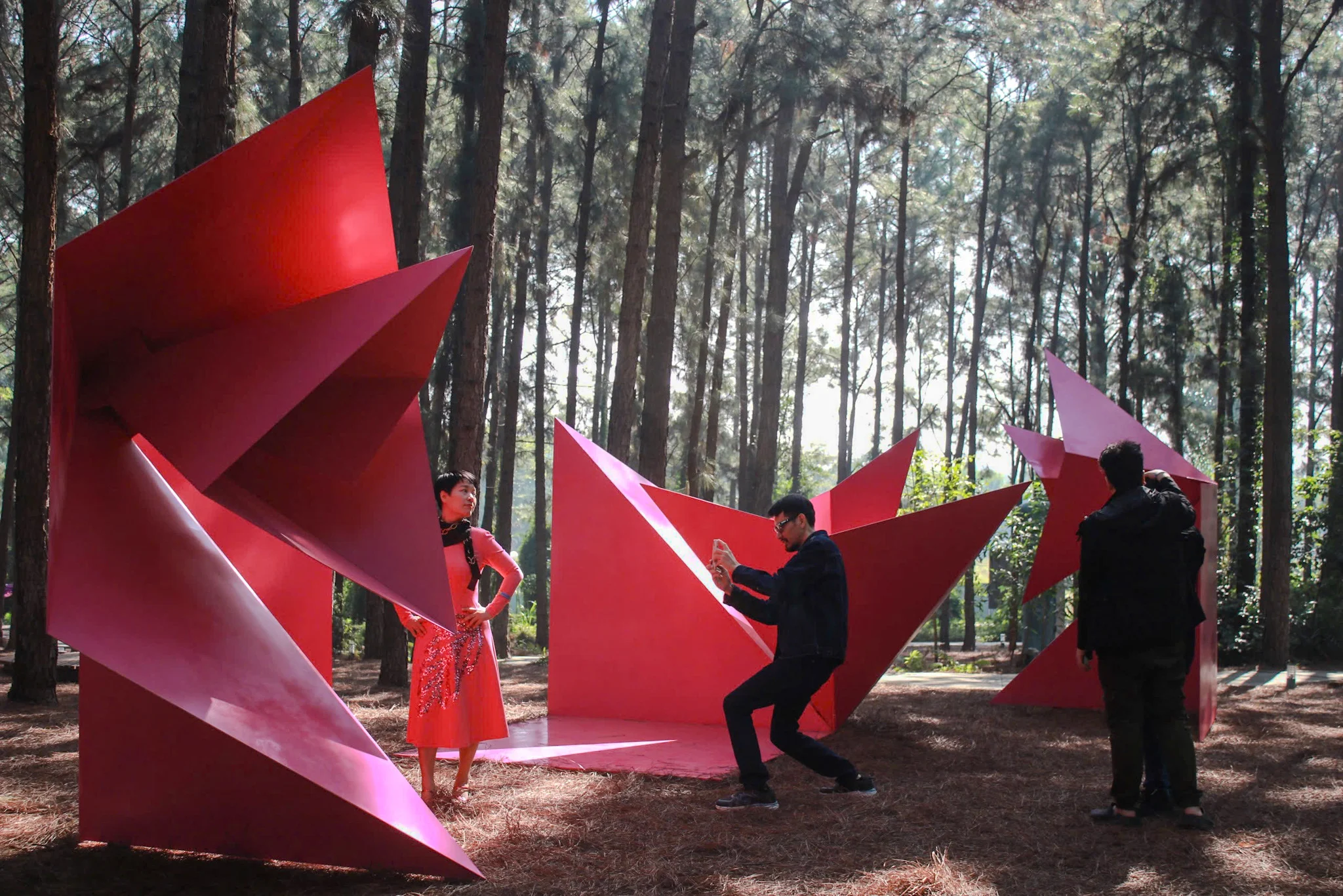 10 năm hành trình nghệ thuật trong rừng