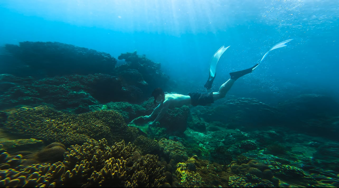 Lặn ngắm san hô ở Nhơn Lý