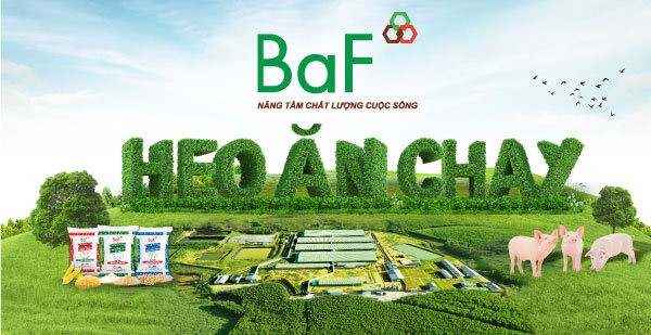 VNDS - Báo cáo cập nhật cổ phiếu BAF - 05/10/2026