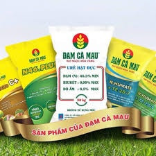 BSC - Báo cáo cập nhật cổ phiếu DCM - 08/10/2026