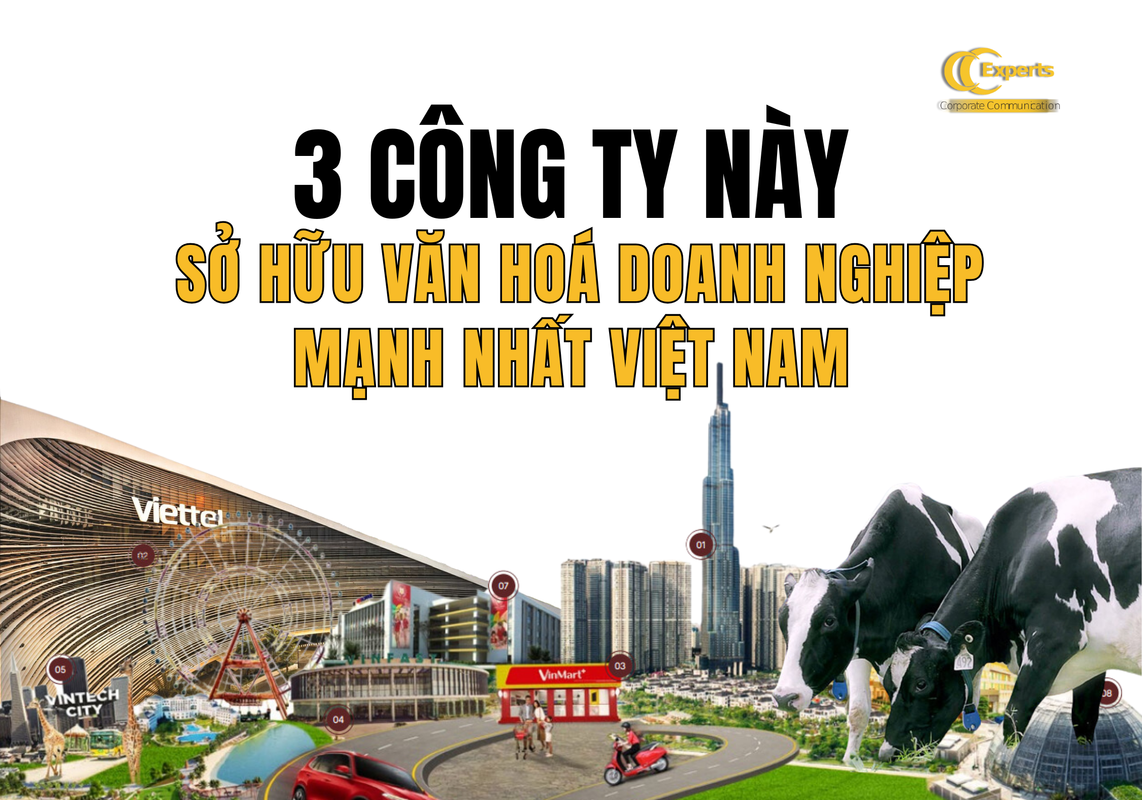 3 công ty này sở hữu văn hoá doanh nghiệp mạnh nhất Việt Nam