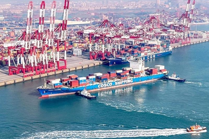 Xuất khẩu vào Trung Quốc: Ứng phó kịp thời với các biến động chính sách