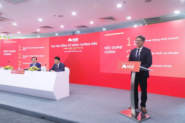 Đại hội đồng cổ đông MSB: Có 2-3 đối tác muốn mua lại công ty tài chính