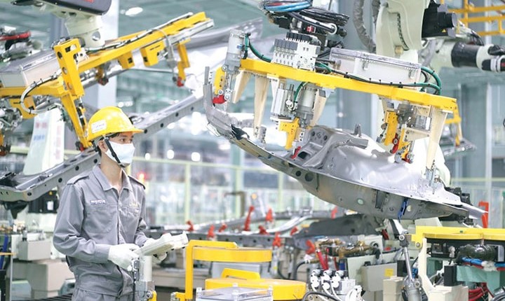 Phát triển doanh nghiệp dẫn đầu là chìa khóa mở cửa thịnh vượng